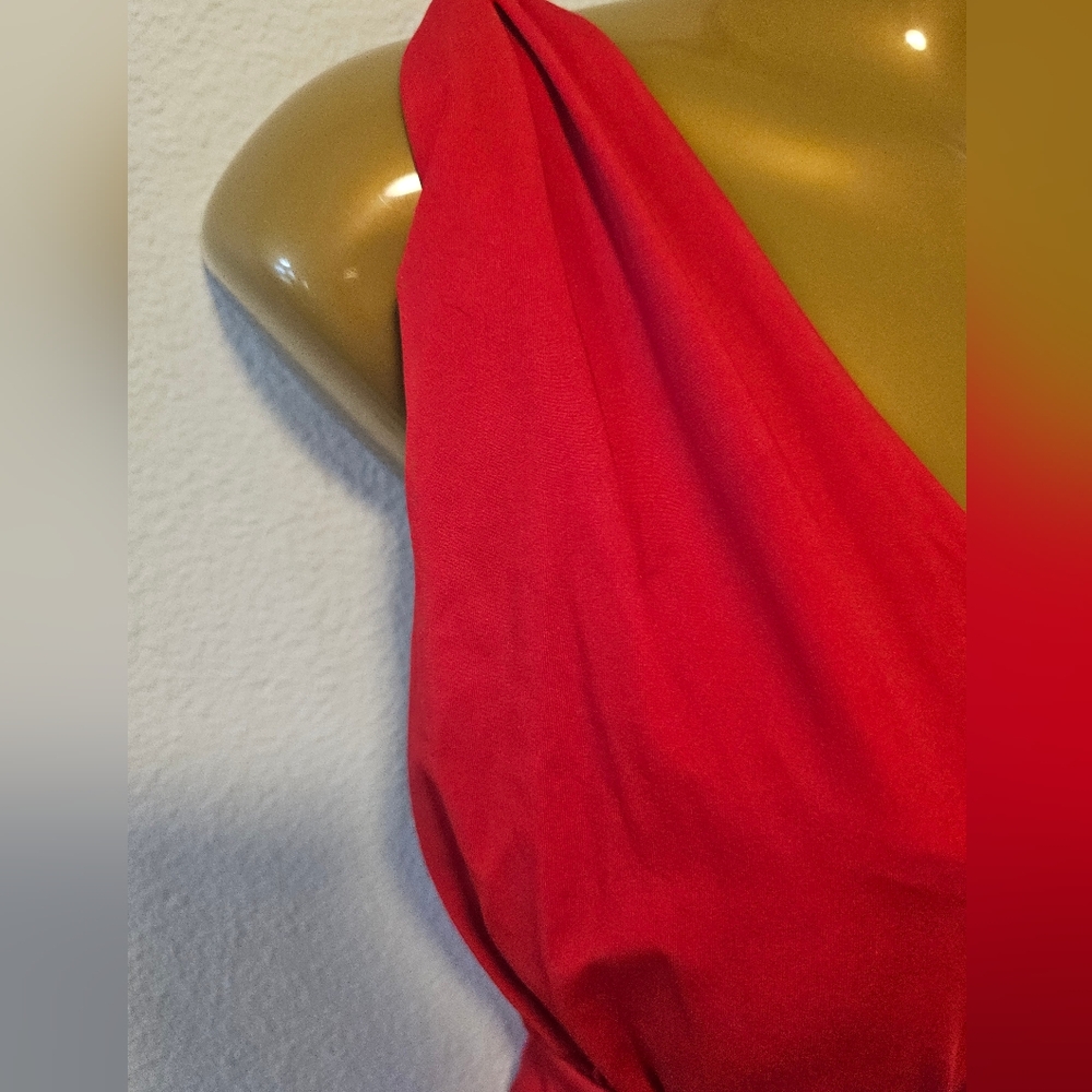 Size 10 Red La Blanca by Rod Beattie Swimsuit - Picture 5 of 5